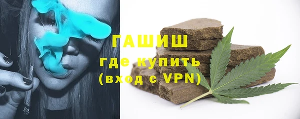 индика Алзамай