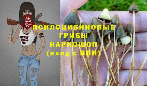 mix Алексин