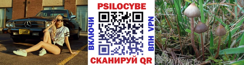 Псилоцибиновые грибы ЛСД  наркотики  Рыбное 